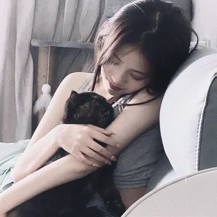 智叻狗仔队